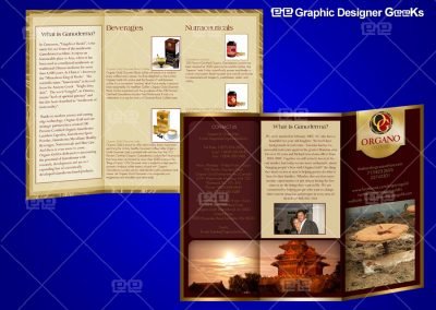 Graphic Designer Geeks | Brochure and Door Hangers | ROC Brochure