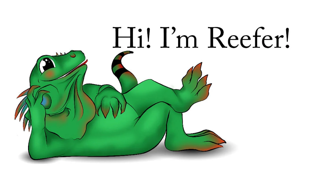 Introducing Reefer: Your Ultimate Brand Sidekick!